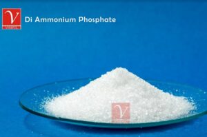 Diammonium Phosphate Technical manufacturer, supplier and exporter in India