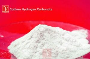 Sodium Hydrogen Carbonate manufacturer, supplier and exporter in India