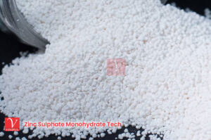 Zinc Sulphate Monohydrate Tech manufacturer, supplier and exporter in India